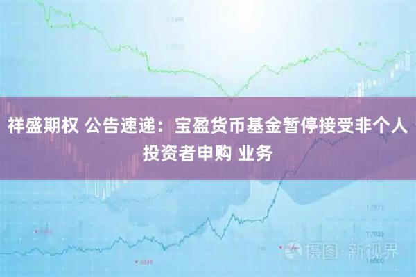 祥盛期权 公告速递：宝盈货币基金暂停接受非个人投资者申购 业务