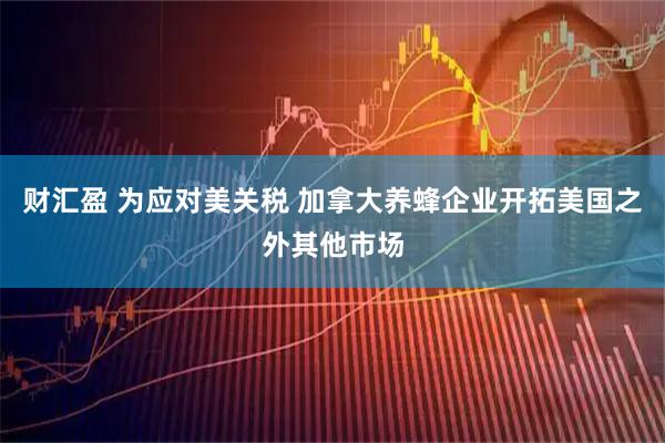 财汇盈 为应对美关税 加拿大养蜂企业开拓美国之外其他市场