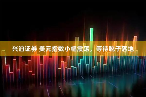 兴泊证券 美元指数小幅震荡，等待靴子落地