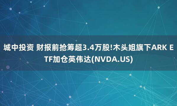 城中投资 财报前抢筹超3.4万股!木头姐旗下ARK ETF加仓英伟达(NVDA.US)