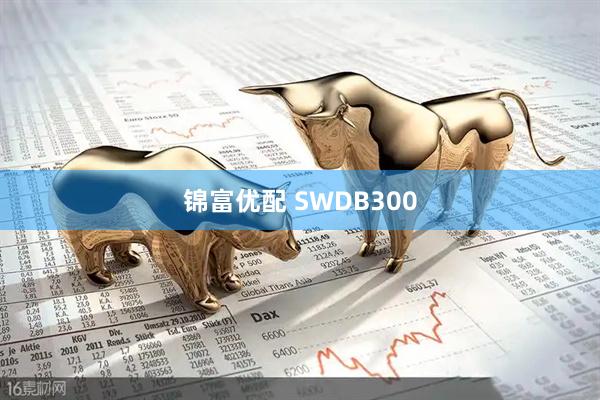 锦富优配 SWDB300