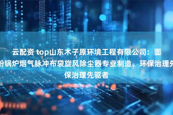 云配资 top山东木子原环境工程有限公司：面粉木粉锅炉烟气脉冲布袋旋风除尘器专业制造，环保治理先驱者