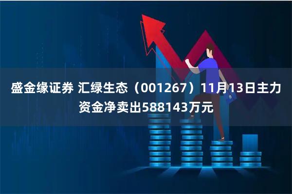 盛金缘证券 汇绿生态（001267）11月13日主力资金净卖出588143万元